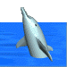3D dolphin floating with its head and fins out of water