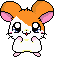 hamtaro blinking with a sparkle