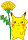 pikachu yellow flower