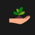 hand holding plant seedling